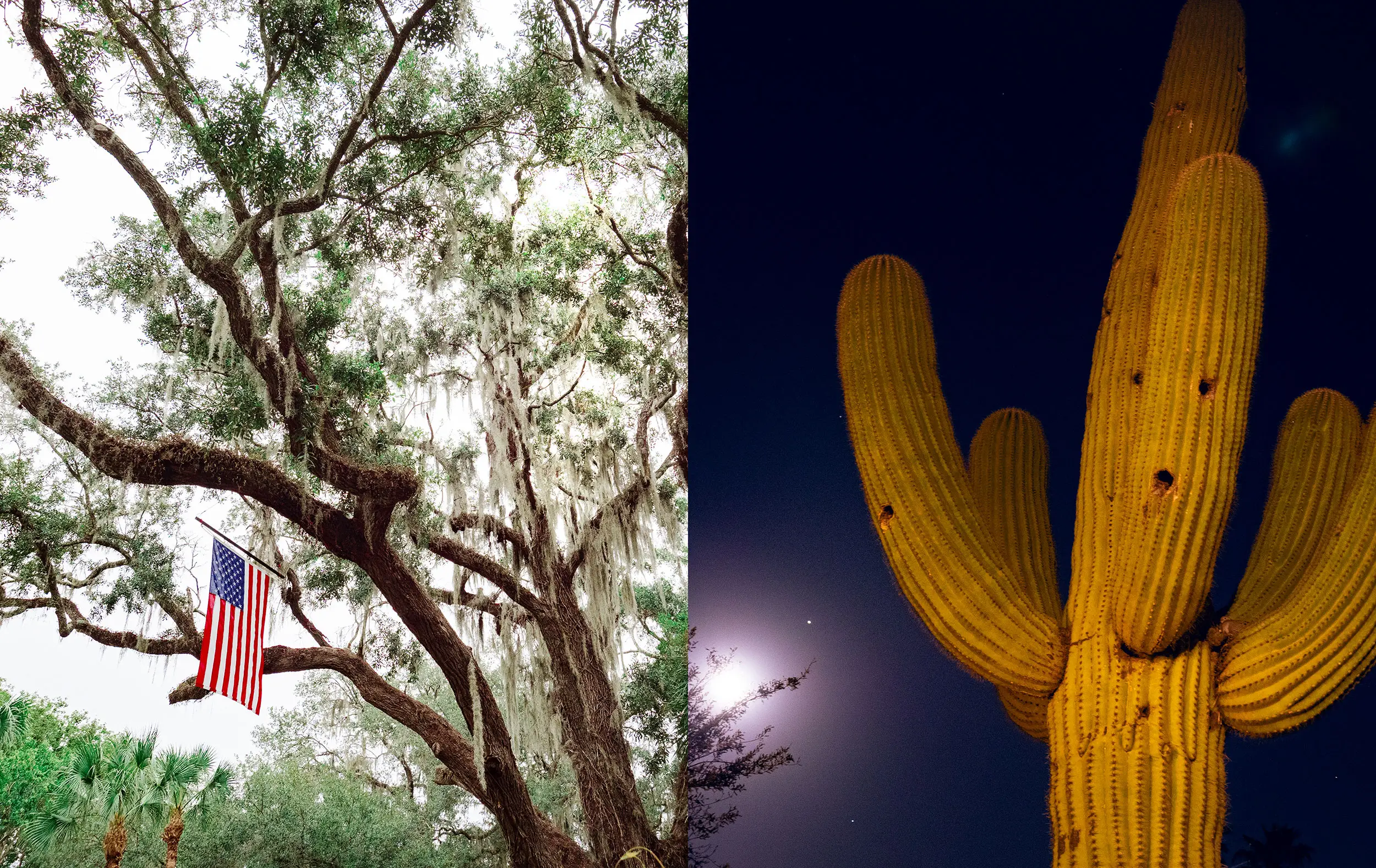 LUNA Magazin | Reportagen Arizona vs Florida