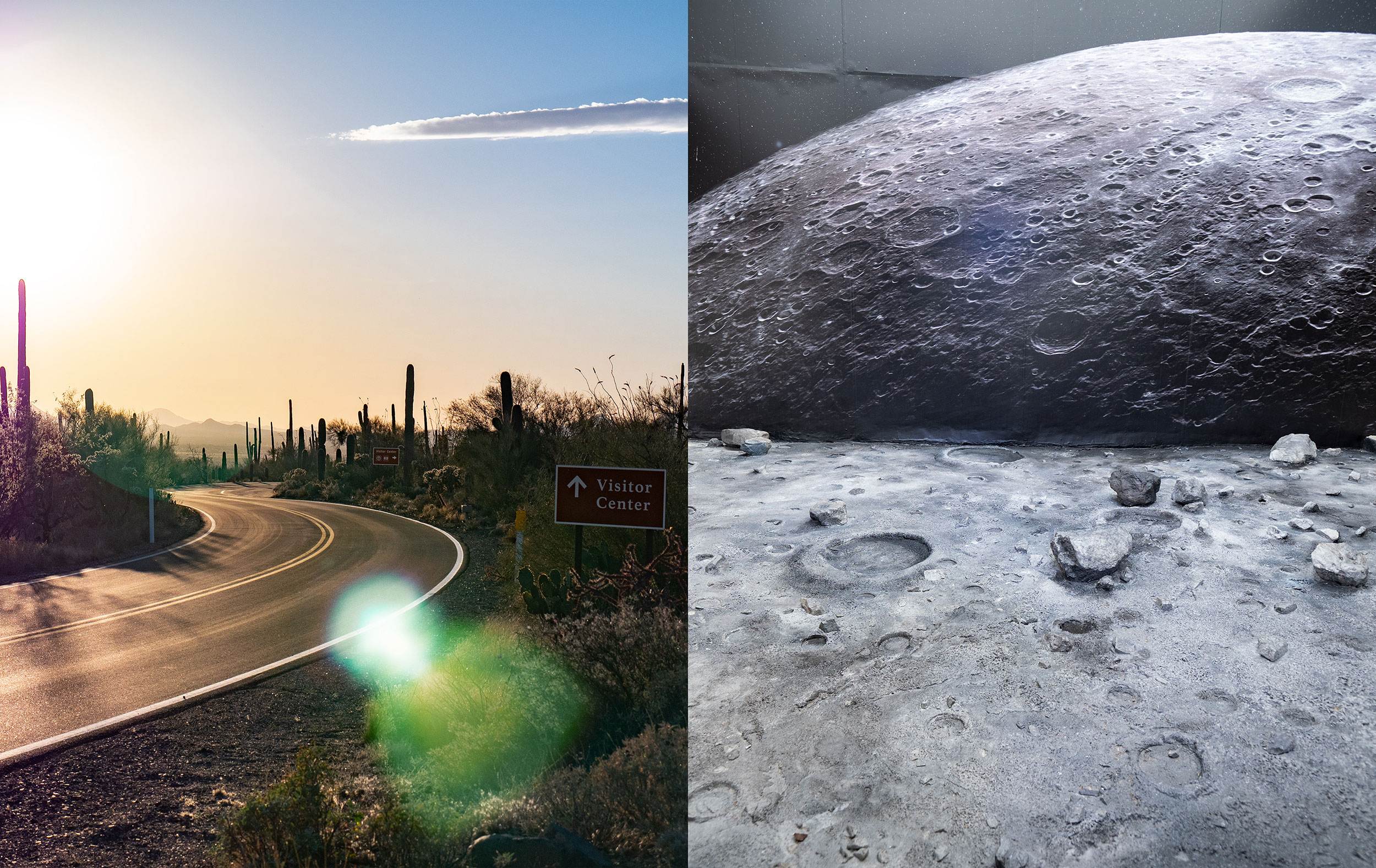 LUNA Magazin | Reportagen Arizona vs Florida
