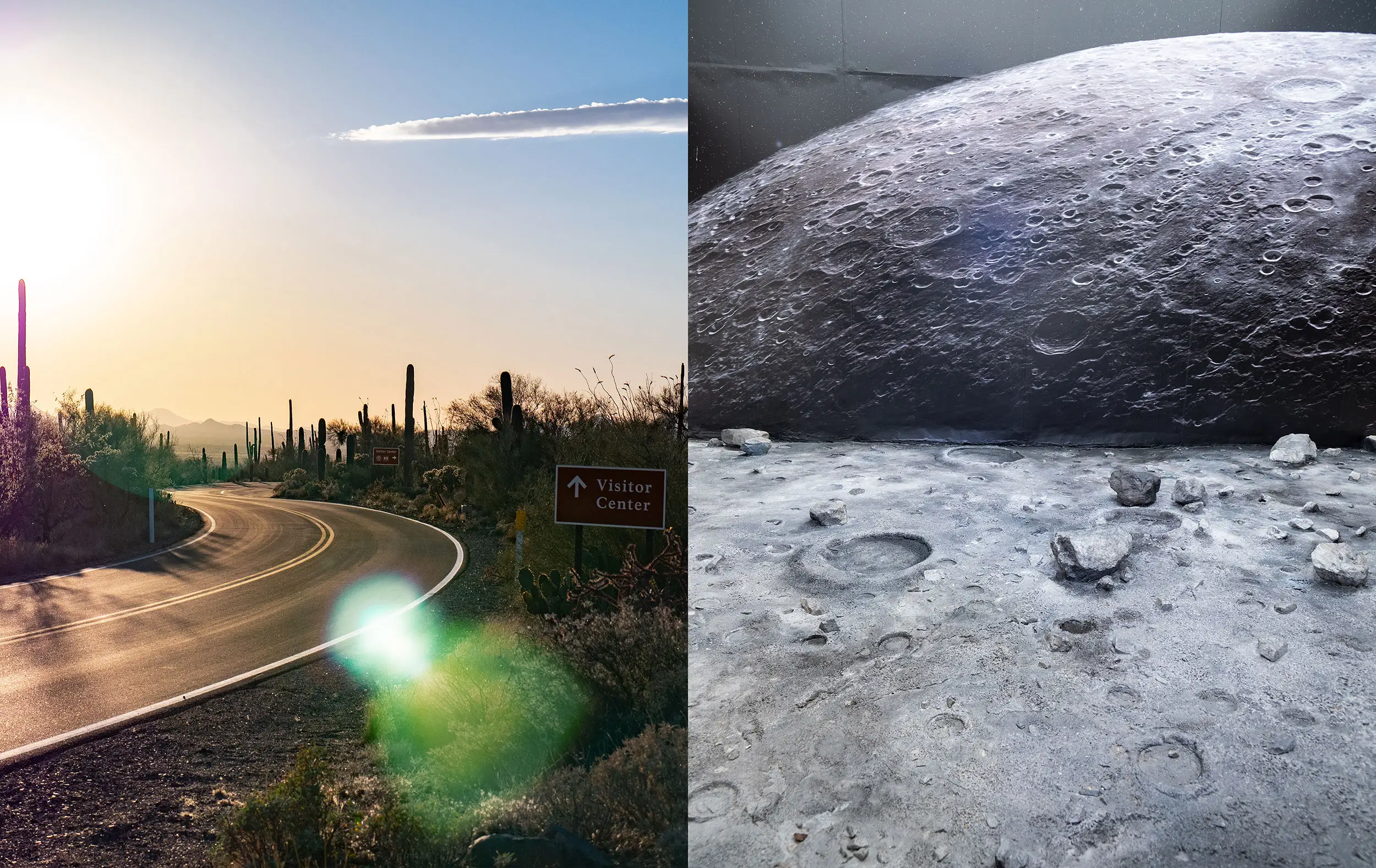 LUNA Magazin | Reportagen Arizona vs Florida