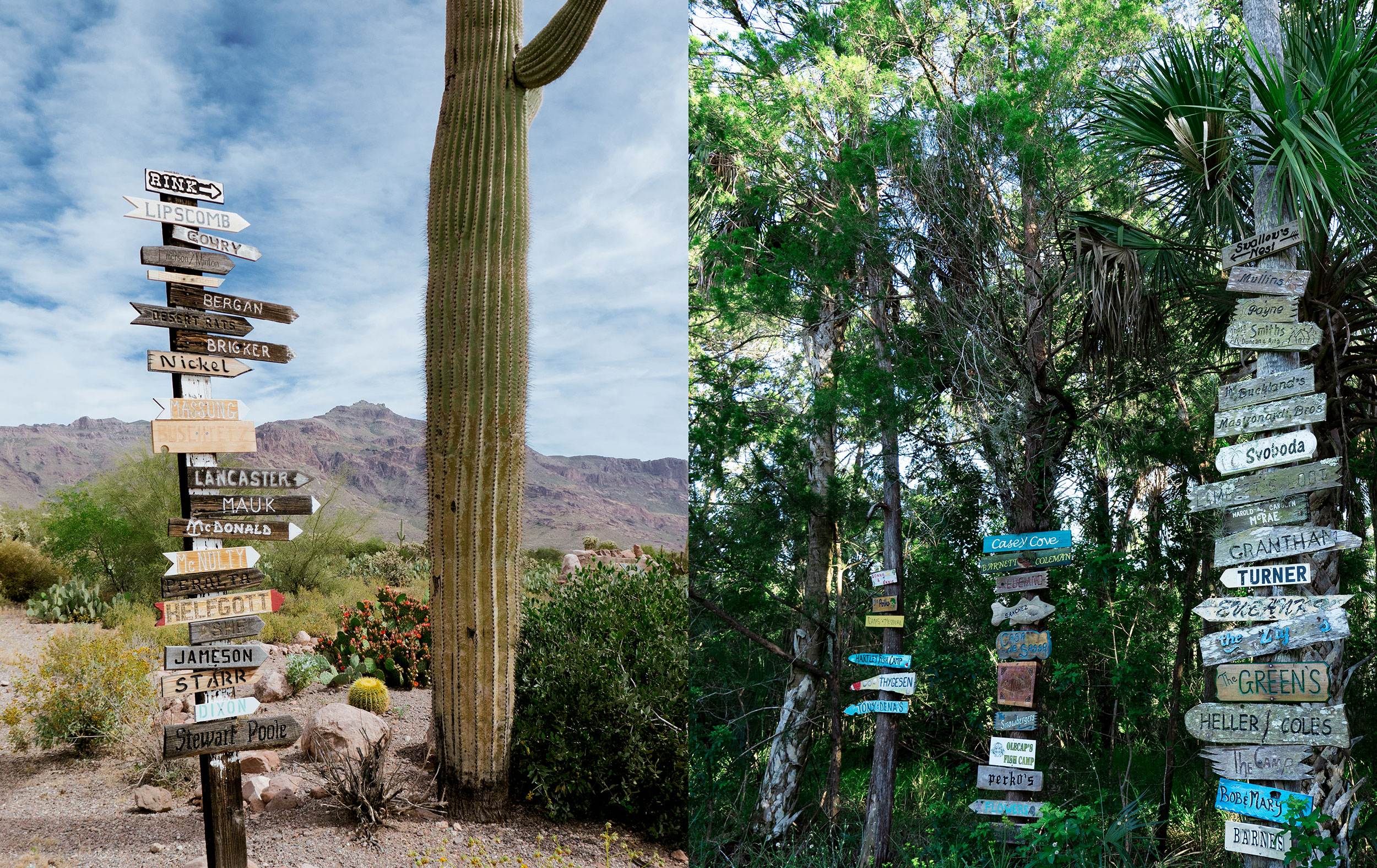 LUNA Magazin | Reportagen Arizona vs Florida