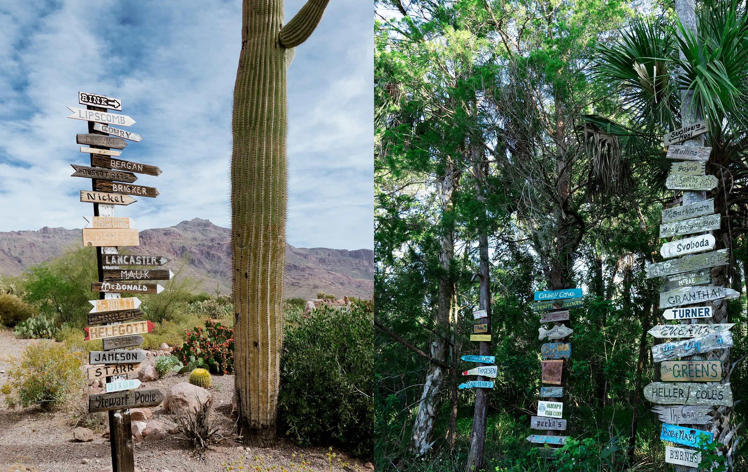 LUNA Magazin | Reportagen Arizona vs Florida